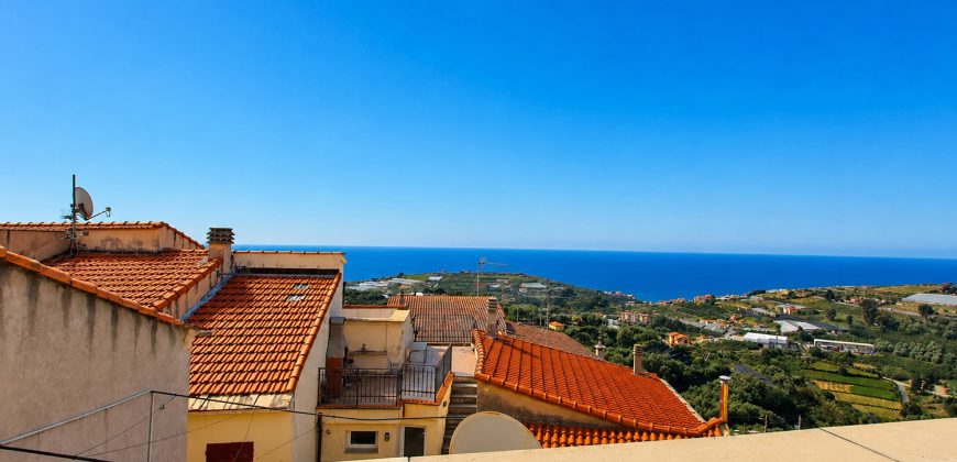 Storical apartment with terrace in a calm village
