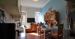 Storical apartment with terrace in a calm village