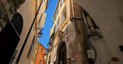 Storical apartment with terrace in a calm village