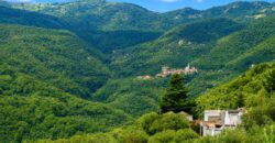 Bright Apartment with Sea View near Villa Faraldi