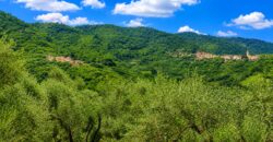 Bright Apartment with Sea View near Villa Faraldi