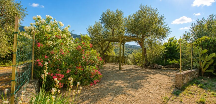 Bright Apartment with Sea View near Villa Faraldi