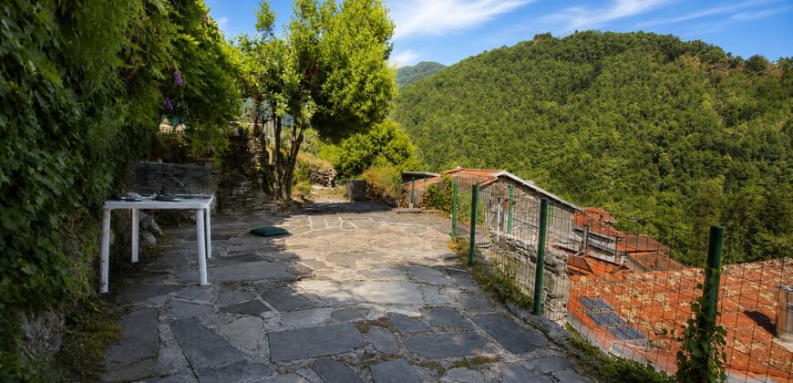 Charming Village House with Terraces and Panoramic Views