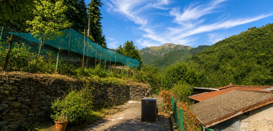 Charming Village House with Terraces and Panoramic Views