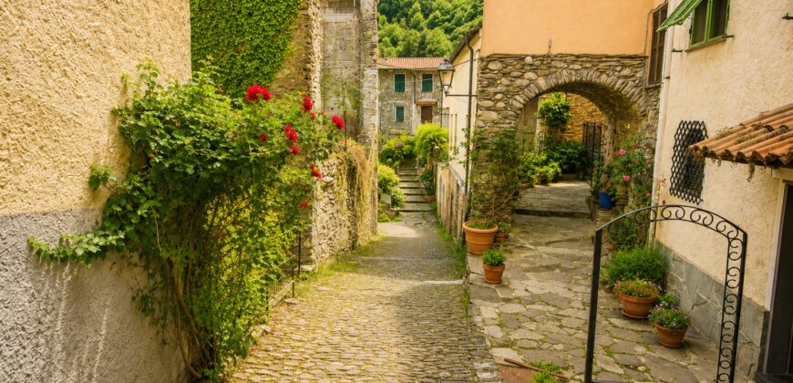 Charming Village House with Terraces and Panoramic Views